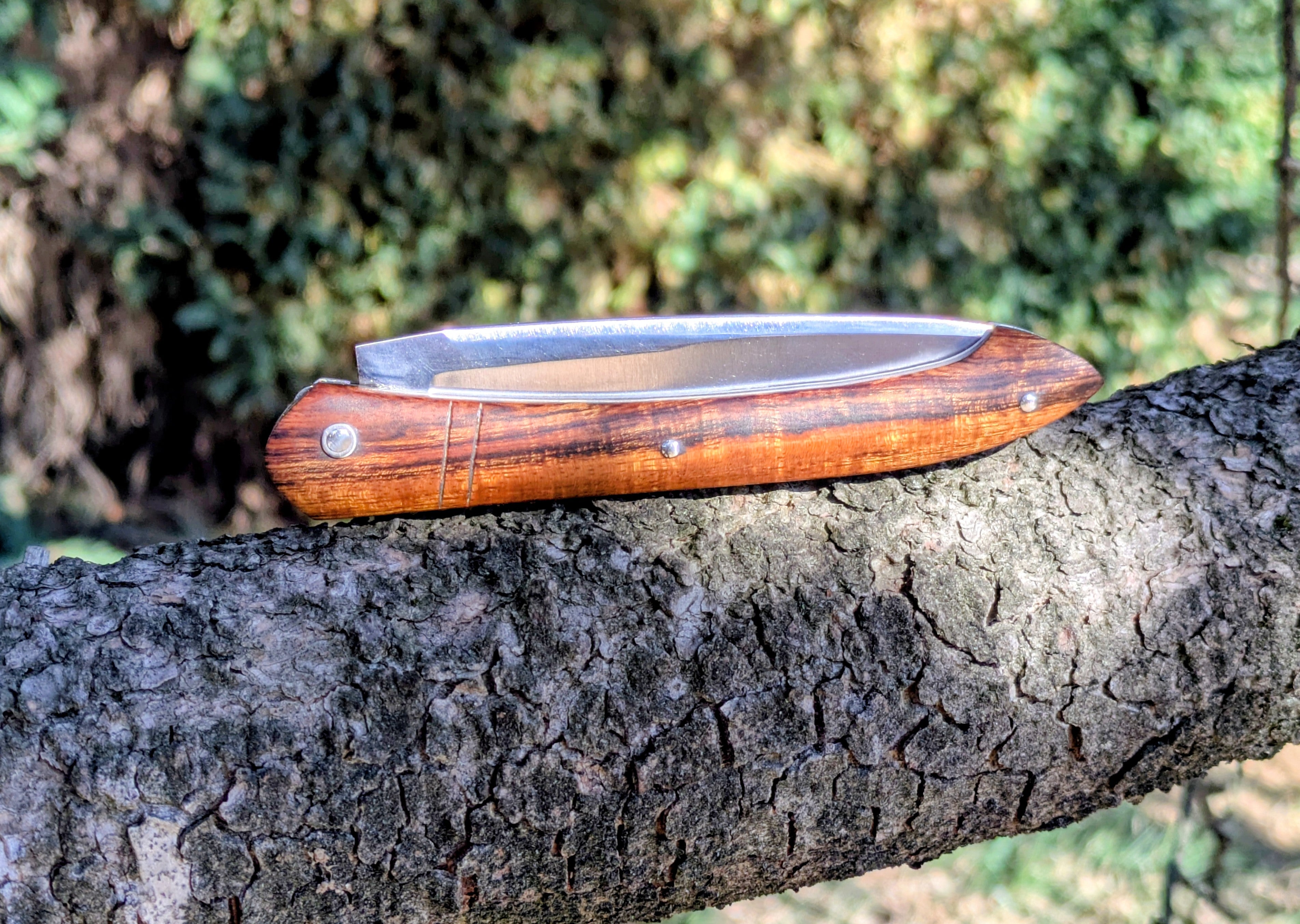Couteau Pliant Artisanal | le Ryu Cran Forcé