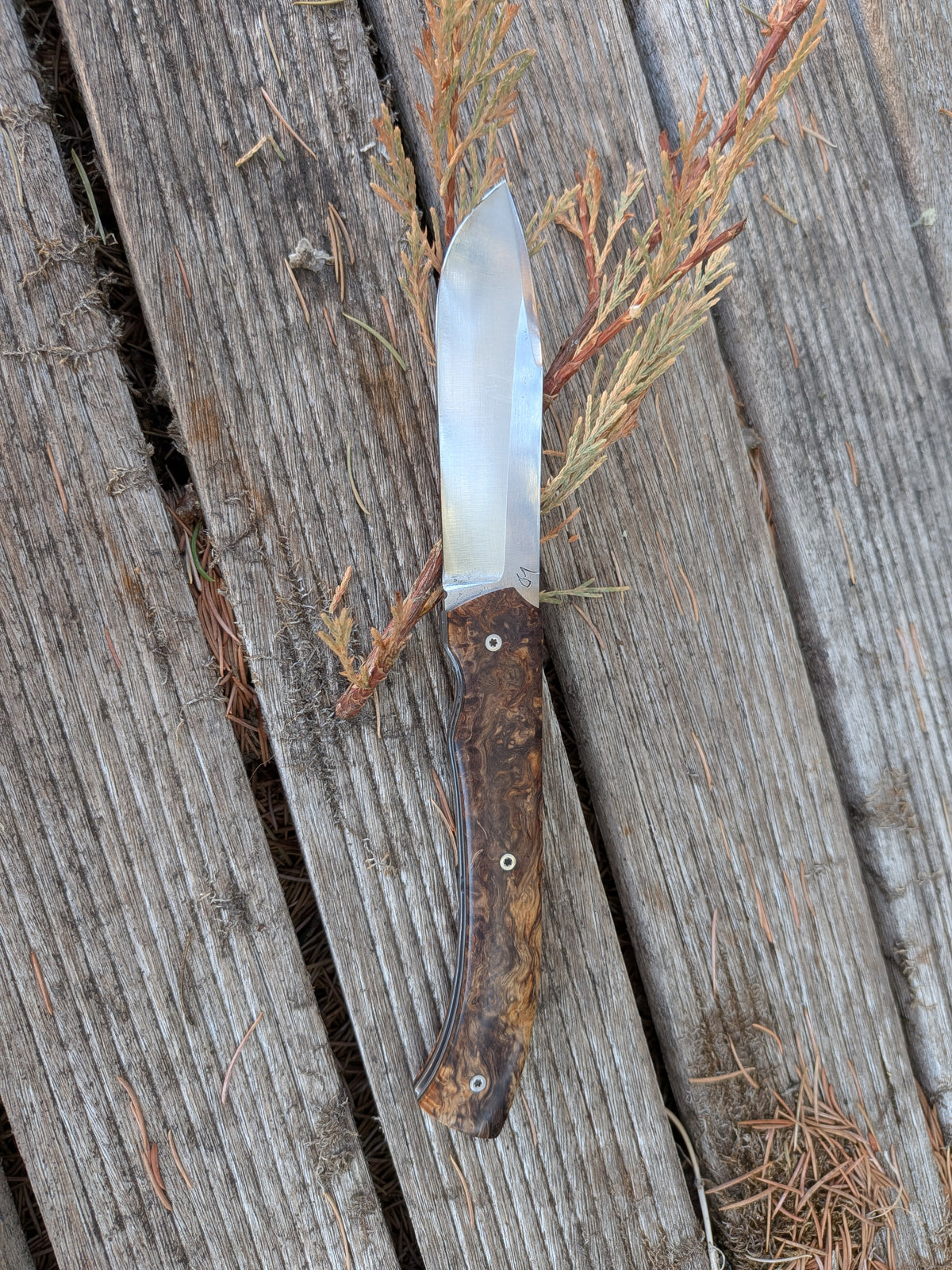 Couteau Pliant Artisanal | le Squale