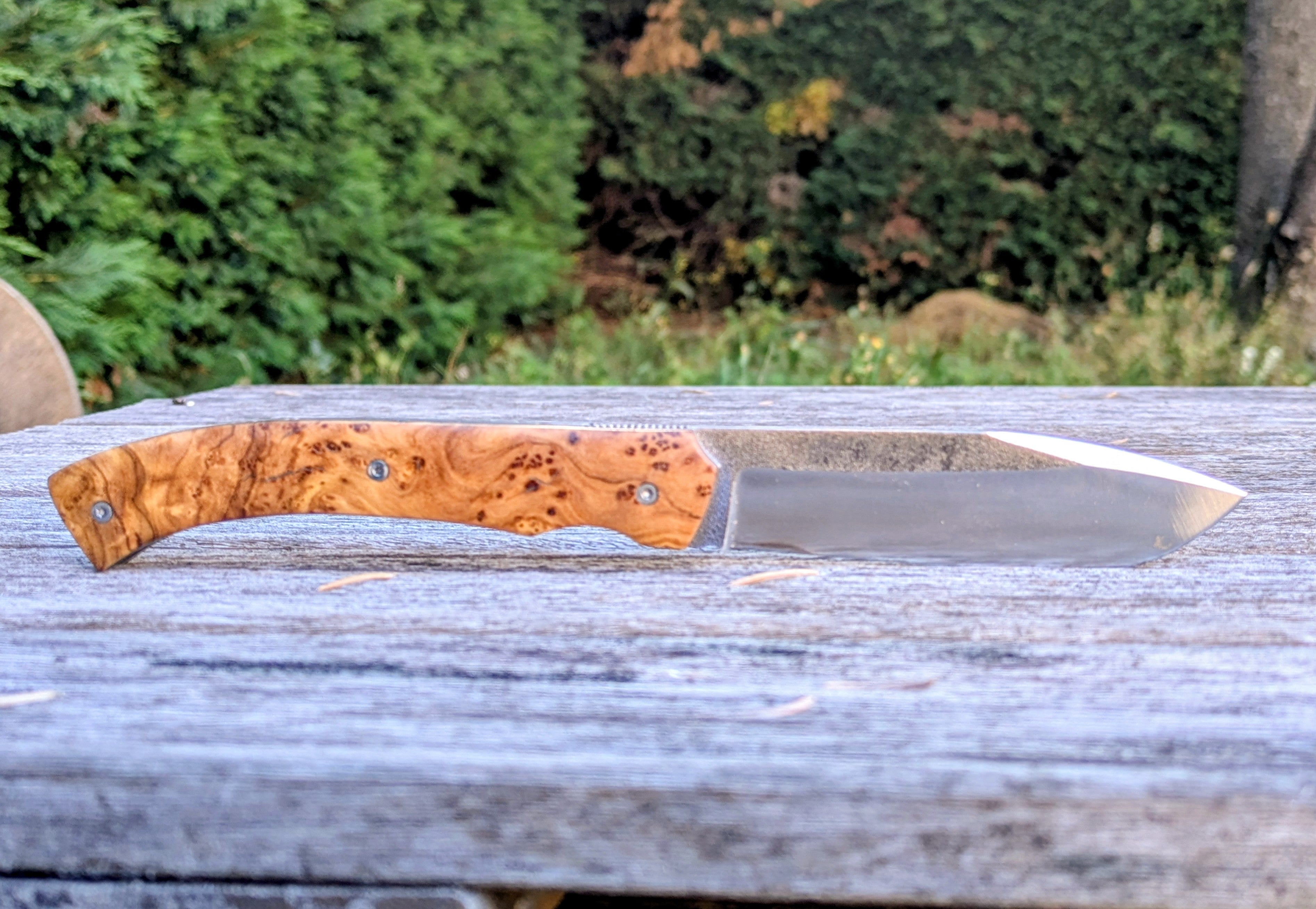 Couteau Pliant Artisanal | le Squale