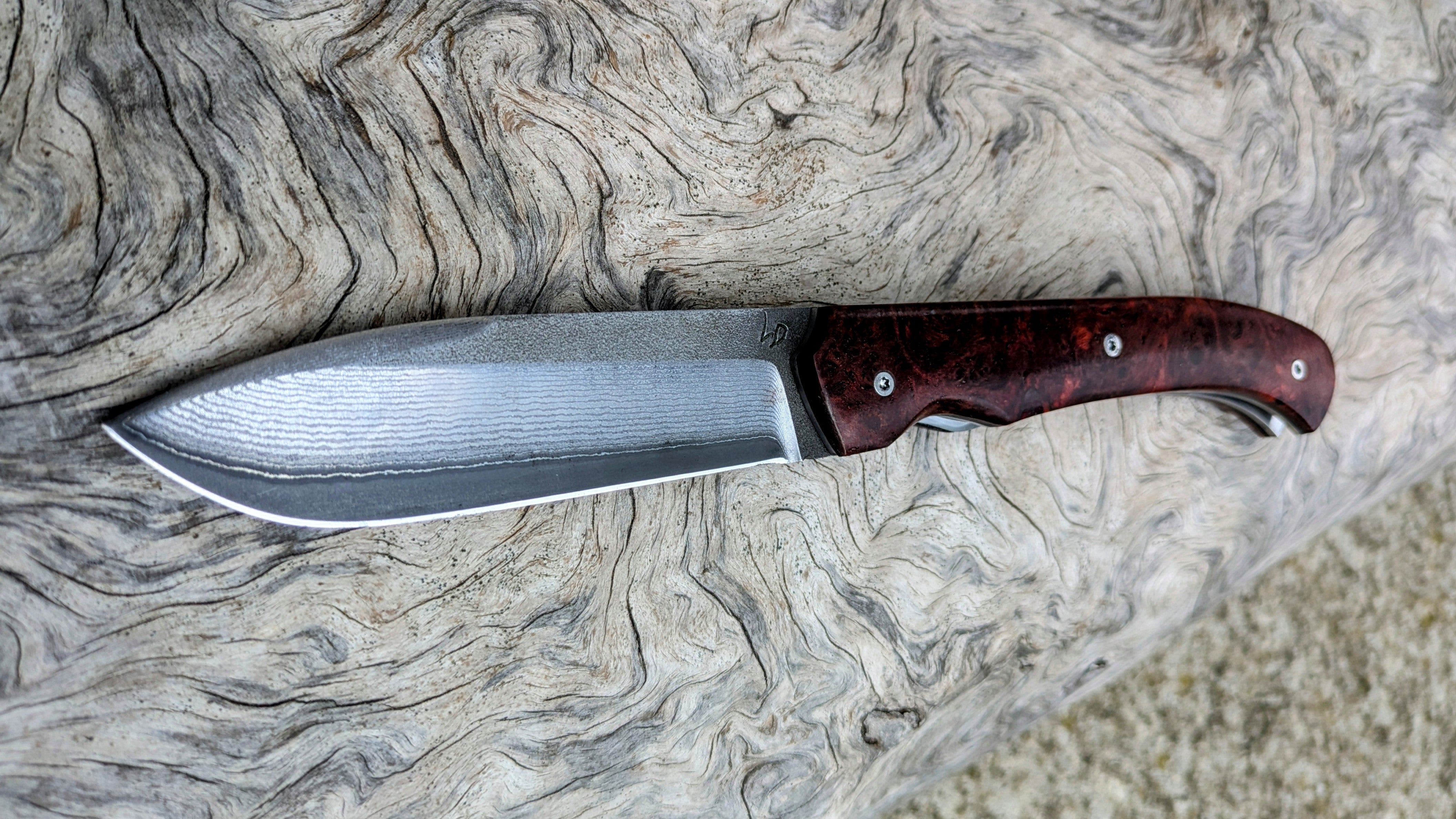 Couteau Pliant Artisanal | le Squale
